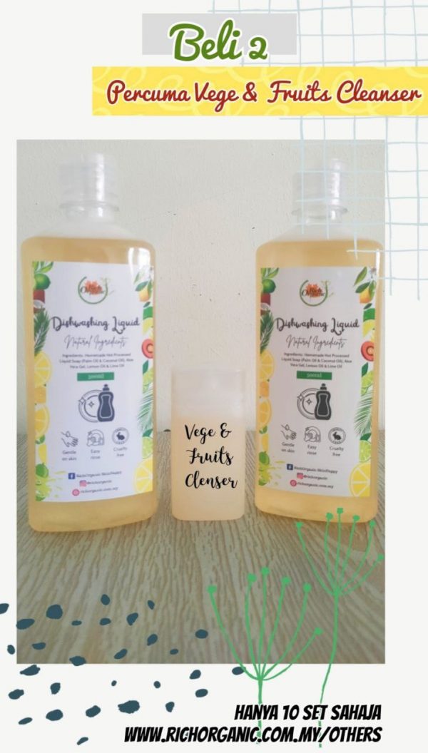 Dishwashing Liquid Soap – RichOrganic